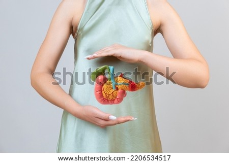 woman holding pancreas in the hands. Help and care concept Royalty-Free Stock Photo #2206534517