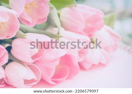 Light tender background tulips with raindrops, soft spring romantic floral background for wedding, birthday, Valentine's Day, mothers Day