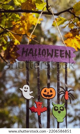 Festive Halloween decor with symbols, preparation for the holiday in the forest. Holidays, decoration and party concept