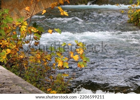 Small rustic bridge crossing the river and colorful autumn leaves. Beautiful autumnal landscape.