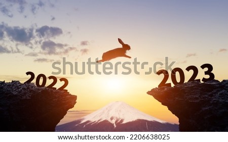 New year concept of 2023. Jumping rabbit to 2023. New year's card.