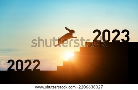 2023 New Year concept. Rabbit running up the stairs. New year's card.