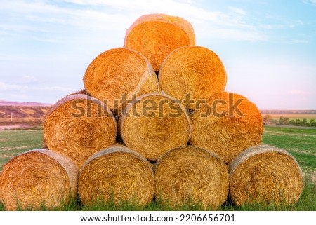 Stacked hay bales after harvest at the edge of the field with sun rays. Dry straw pressed into individual straw bales. Pile of straw bales with light leaks. Structures of hay and straw