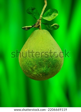 Pomelo fruit with a green background 