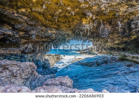 A beautiful view of a seaside Admirals Arch cave in Kangaroo Island, Australia Royalty-Free Stock Photo #2206686903
