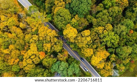 An aerial shot of a road going through woods by Indiana University, Bloomington, Indiana