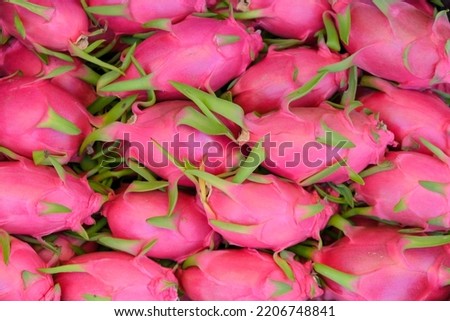 Pile of pitaya or dragon fruit, Big Bunch of Pink Dragon Fruits in traditional Market, Copy space.
