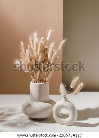 Set of vase with dried lagurus grass and shadows, cozy home, scandinavian interior style