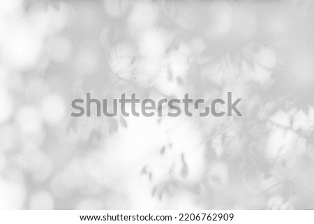 Shadow of a tree and Background of branches and leaves. White wall texture for background wallpaper and any design.