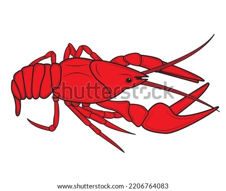 Realistic Lobster or crayfish. Seafood shop logo, signboard, restaurant menu, fish market, banner, poster design template. Fresh seafood. Vector illustration.