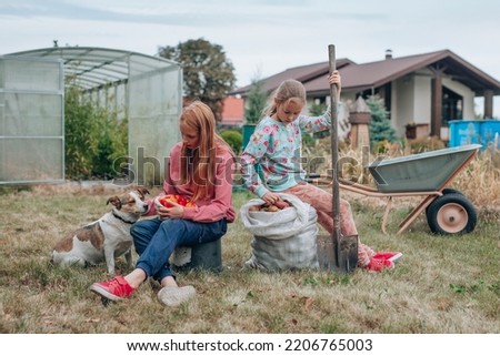 Happy and beautiful girls are resting in the garden in their village. Good sisters with their beloved dog rest after harvesting in their garden. A teenager and a girl are sitting in the garden.