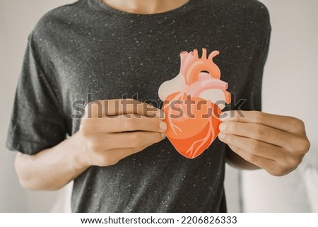 Hands holding heart anatomy, organ donor, cardiac heart cancer, health care hopital service concept Royalty-Free Stock Photo #2206826333