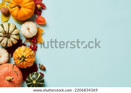 Autumn frame border with pumpkins, maple leaves, acorns, rowan branches, physalis on pastel blue table. Autumn fall, Thanksgiving concept.