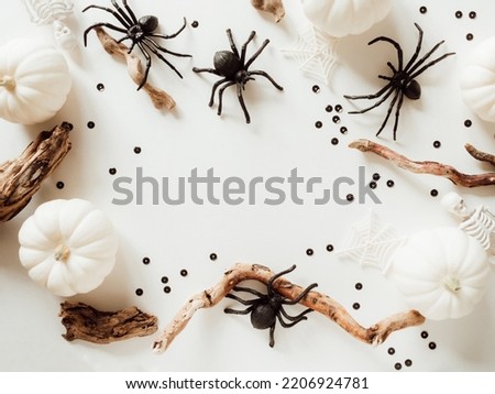 White Halloween background with white pumpkins, webs, sceletons, black spiders and firewoods on white background. Halloween layout copy space for text. Flat lay, top view
