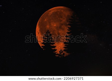 full moon and tree silhouette at dusk
