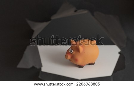 funny piggy bank for saving on purchases