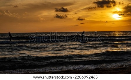 Surfing in the sunset time, sardinia italy