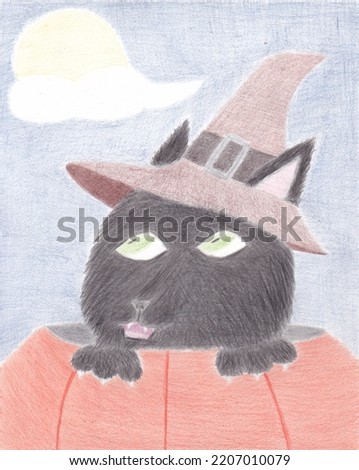 Halloween black cat in pumpkin