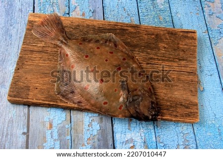 Sea plaice (Pleuronectes platessa) on a wooden board background