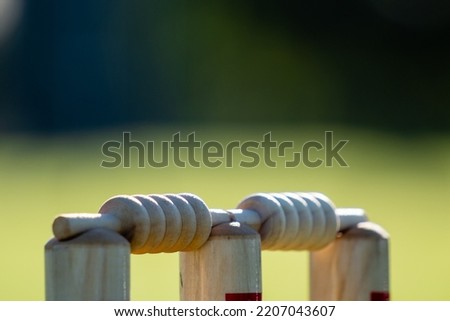 Cricket Stumps in Summer Time