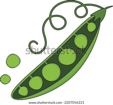Vegan vegetables isolated vector illustration