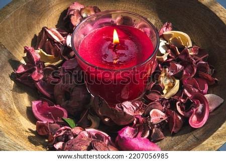 Close-up, burning red candle among rose petals.