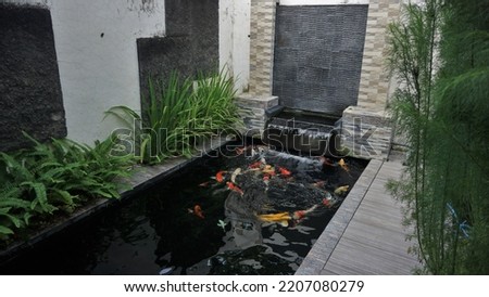 minimalist koi fish pond from top view, suitable for the backyard of the house Royalty-Free Stock Photo #2207080279