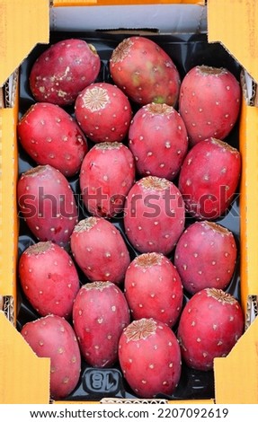 Opuntia ficus-indica, the Indian fig opuntia, fig opuntia, or prickly pear, is a species of cactus that has long been a domesticated crop plant grown in agricultural economies  Royalty-Free Stock Photo #2207092619