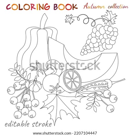 Autumn collection. Pumpkins, grapes, berries. Autumn still life. Relaxation coloring template. Editable vector illustration.