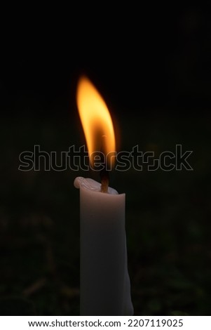 candle flame on the grass