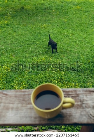 a yellow cup of coffee stands on the terrace, with a view of a dog walking in the yard
