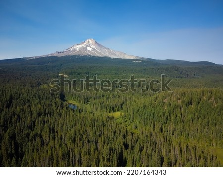 Beautiful landscape. Hilly country, a meadow covered with green grass and a large mountain in the distance, covered with snow. Blue cloudless sky. The beauty of nature, travel.