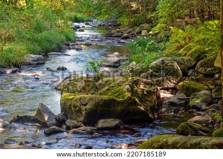 the quinapoxet river  in west boylston flowing into the wachusett reservior Royalty-Free Stock Photo #2207185189