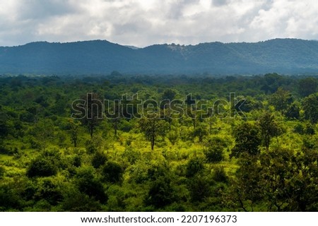 national park in Sri Lanka with natural light