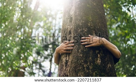 Nature lovers embrace big trees. green forest in the rainy season Concept of conservation of nature, protecting the environment. Protection from deforestation or climate change Royalty-Free Stock Photo #2207211837
