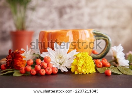 Aesthetic eco-friendly sustainable teatime with cup in creative shape of pumpkin. Autumn background among rowan berries, acorns, marigold, chrysanthemum on black background