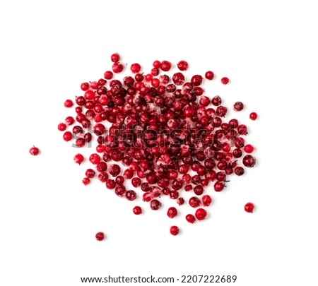 Frozen cowberry isolated. Iced lingonberry pile, frosty red berries, frozen whortleberry heap, mountain cranberry, partridgeberry, frosted bearberries on white background top view