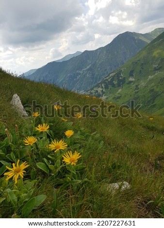 Photos from the Tatra Mountains - July 2020