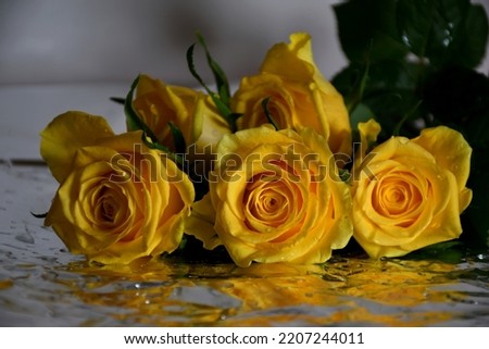 Yellow roses with water drops