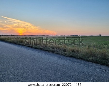 A beautiful sunset over a grass meadow next to a road. A beautiful blue sky in the background. Some trees in the background. 