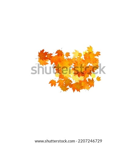 Pile of fallen leaves. Heap of orange, yellow and red autumn leaves.