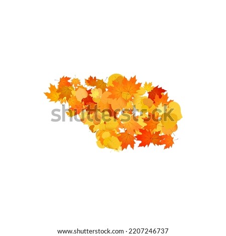 Pile of fallen leaves. Heap of orange, yellow and red autumn leaves.