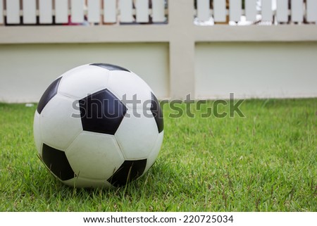 soccer ball on green grass sport game background