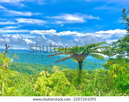 This picture was taken from the highest peak in Fiji, Mt. Tomaniivi or otherwise also known as Mt. Victoria. 