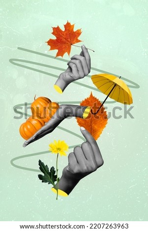 Vertical collage illustration of human hands black white gamma hold autumn maple leaf pumpkin flower umbrella isolated on painted background