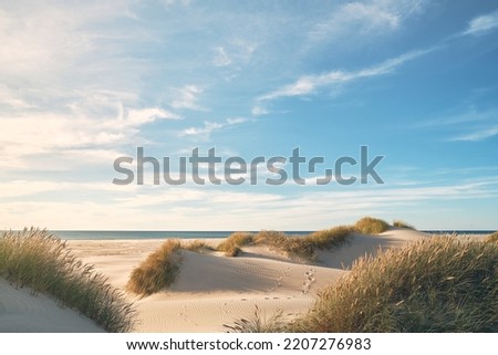 Beautiful natural beach in northern Denmark. High quality photo Royalty-Free Stock Photo #2207276983