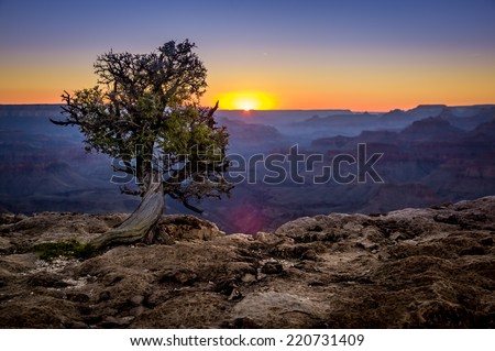 beautiful colorful landscape sunset in grand canyon national park arizona Royalty-Free Stock Photo #220731409