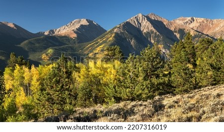 Colorful Rocky Mountain aspen trees in early fall, with Mount Hope and the Twin Peaks located in the Collegiate Peaks Wilderness. 
 Royalty-Free Stock Photo #2207316019