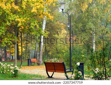 Autumn Park. Lantern, bench in a beautiful forest.