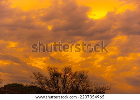 Dramatic sky and clouds at dusk. Natural landscape. Colored clouds. Sunset. Dramatic images of the sunset.